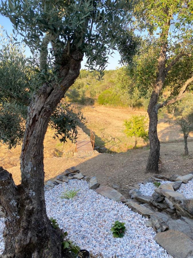 Monte Das Pedras - Aviz Ngoại thất bức ảnh